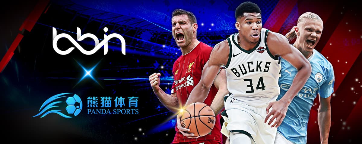 来了今年的
